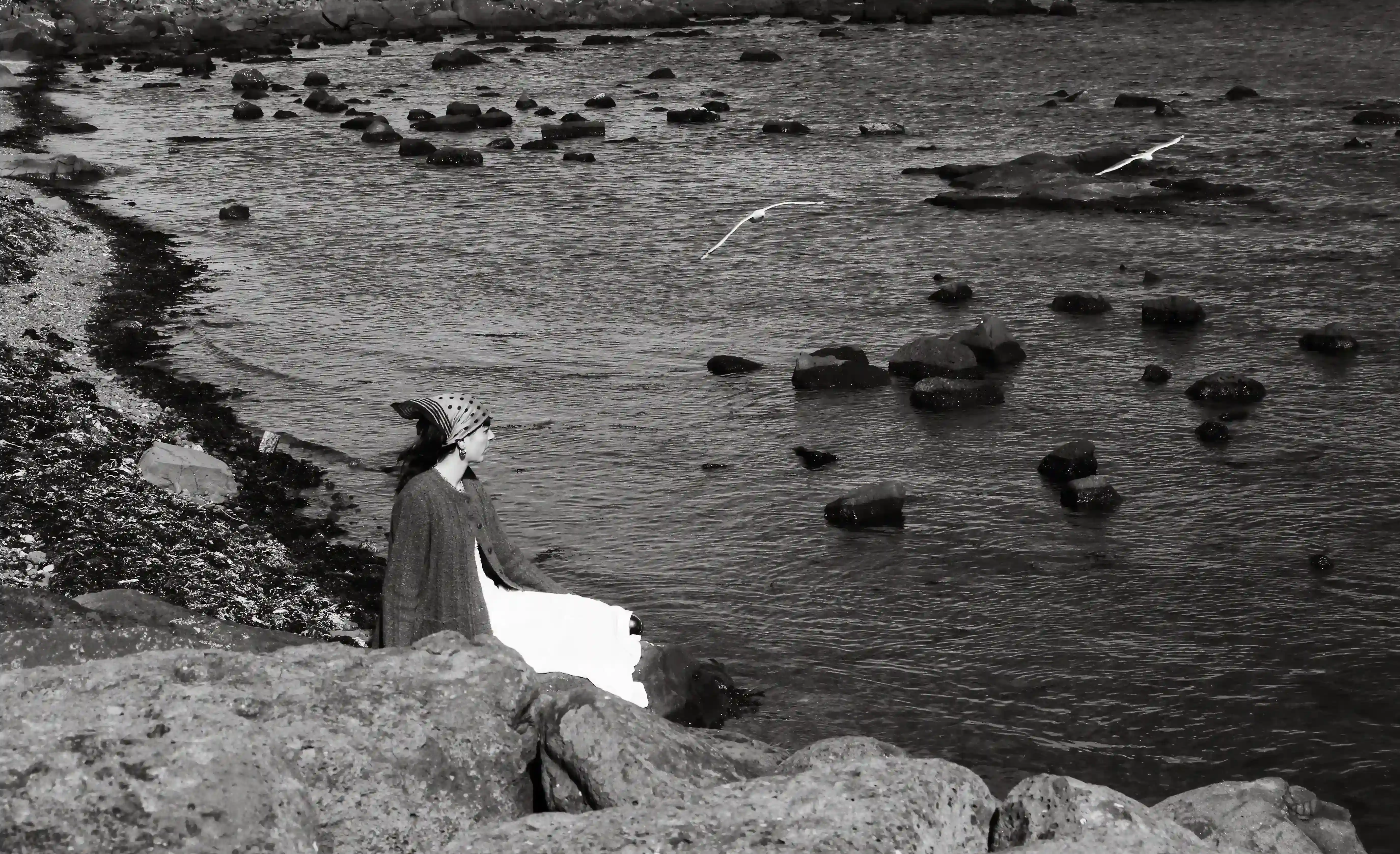 Sells Seashells by the Seashore